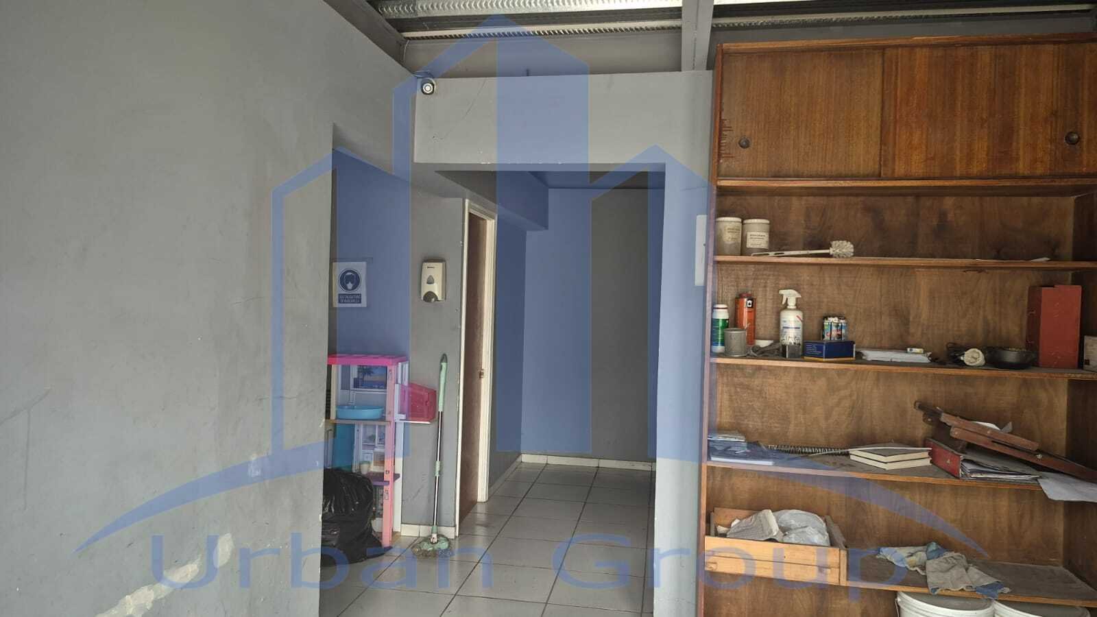 Imagen 16