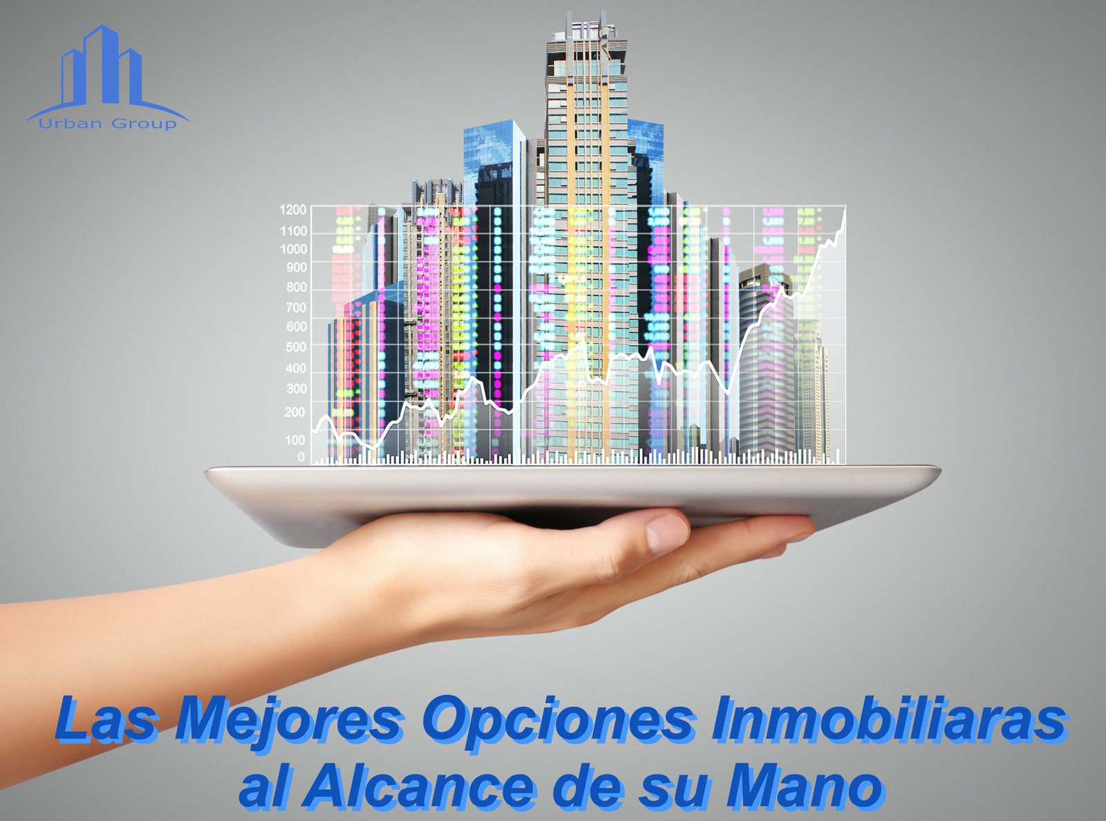 Imagen 12